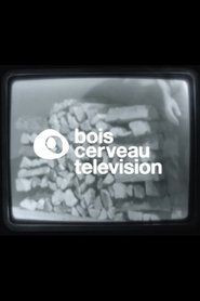 Imagen de BOIS CERVEAU TV (1)