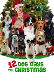 Film 12 Dog Days Till Christmas streaming VF complet