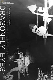 Imagen de Dragonfly Eyes
