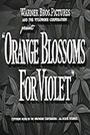 Orange Blossoms for Violet streaming sur filmcomplet