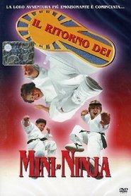 Il Ritorno Dei Mini-Ninja 1995