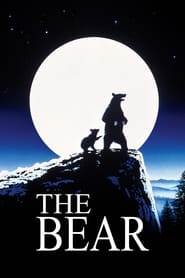 The Bear