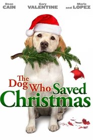 Film Le sauveur de Noël streaming VF complet
