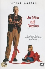 Imagen de Un giro del destino