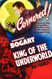 Film King of the Underworld streaming VF complet