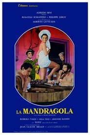 Film La mandragola streaming VF complet