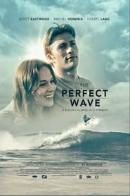 The Perfect Wave streaming sur filmcomplet