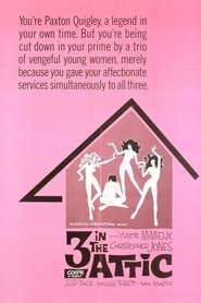 Film Three in the Attic streaming VF complet