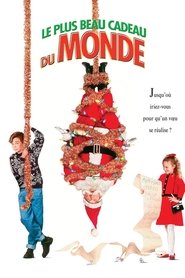 Film Le plus beau cadeau du monde streaming VF complet