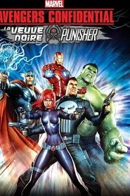 Film Avengers Confidential : La Veuve Noire et Le Punisher streaming VF complet