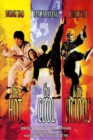 Film Nan quan bei tui zhan yan wang streaming VF complet