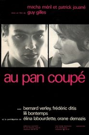 Film Au Pan Coupé streaming VF complet