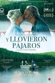 Y llovieron pájaros