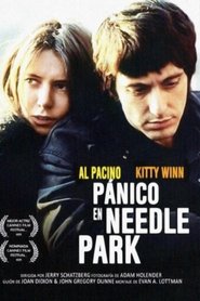 Imagen de Pánico en Needle Park