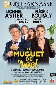 Imagen de Le muguet de Noël