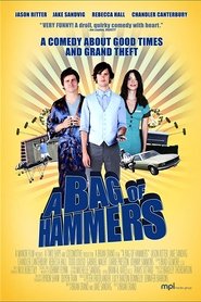 Film A Bag of Hammers streaming VF complet
