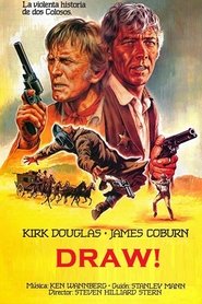Film Le duel des héros streaming VF complet