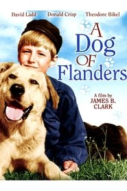 Film A Dog of Flanders streaming VF complet