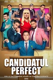 Imagen de The Perfect Candidate