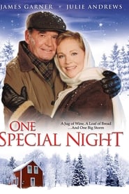 Film One Special Night streaming VF complet