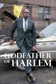 Poster for Godfather of Harlem (2019)