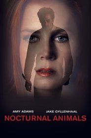 Nocturnal Animals 2016