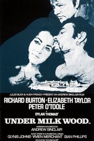 Film Under Milk Wood streaming VF complet