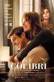 Imagen de El colibrí