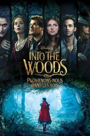 Film Into the Woods, Promenons-nous dans les bois streaming VF complet
