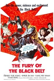 Film Shi po tian jian streaming VF complet