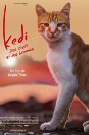 Kedi - Des chats et des hommes 2017