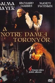 Notre Dame-i toronyőr 1997