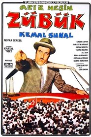 Film Zübük streaming VF complet