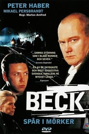 Film Beck - Spår i mörker streaming VF complet