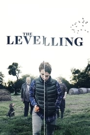 Film The Levelling streaming VF complet