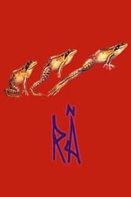 Imagen de Frogs