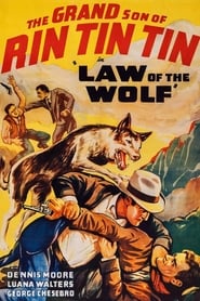 Law of the Wolf streaming sur filmcomplet