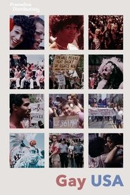 Film Gay USA streaming VF complet