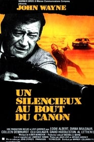 Film Un silencieux au bout du canon streaming VF complet