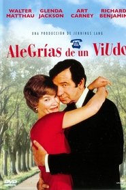 Imagen de Alegrías de un viudo