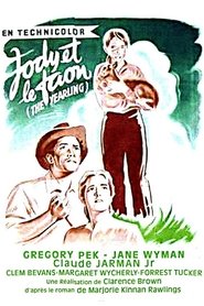 Jody et le faon streaming sur filmcomplet