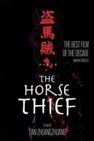 Le Voleur de Chevaux