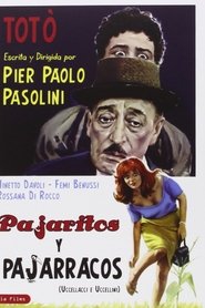 Imagen de Pajaritos y pajarracos