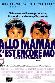 Film Allô maman, c'est encore moi streaming VF complet