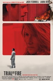 Trial by Fire 2018 1080p WEBRip x264 RARBG