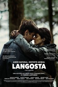 Imagen de Langosta