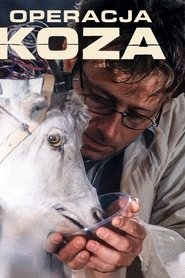 Poster of undefined