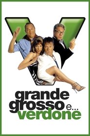 Grande, grosso e Verdone 2008