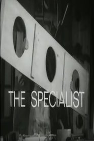 The Specialist streaming sur filmcomplet
