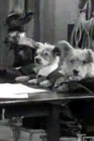 Film The Two Barks Brothers streaming VF complet